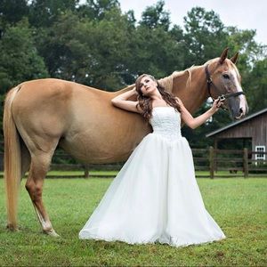 Ivory Wedding/Debutante Dress